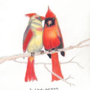 Mr. & Mrs. Cardinal