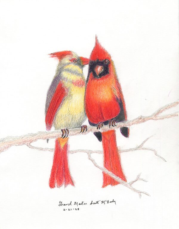 Mr. & Mrs. Cardinal