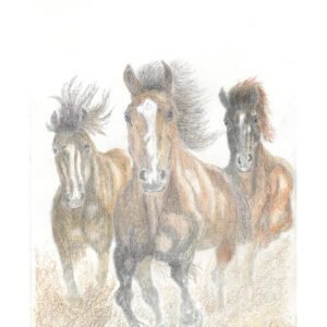 3 Horses