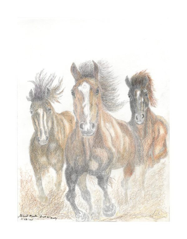 3 Horses