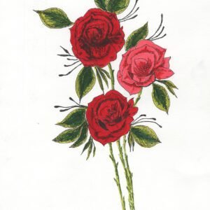 Mixed Roses