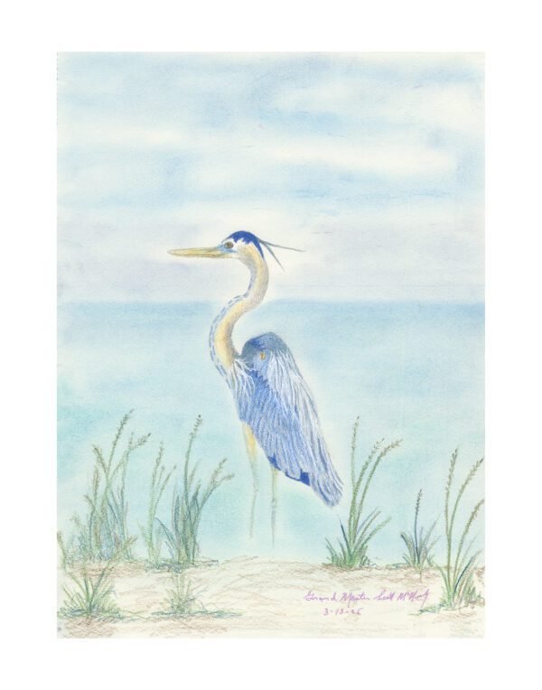 Egret on the beach