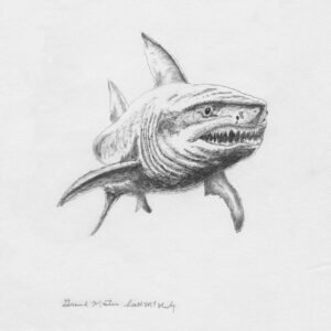 Apex Predator