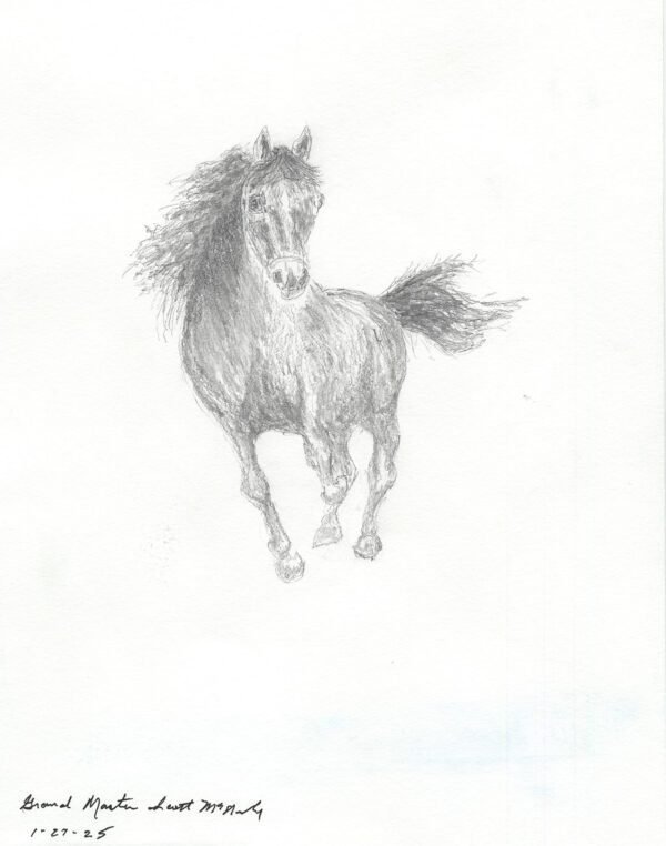 Black Jack