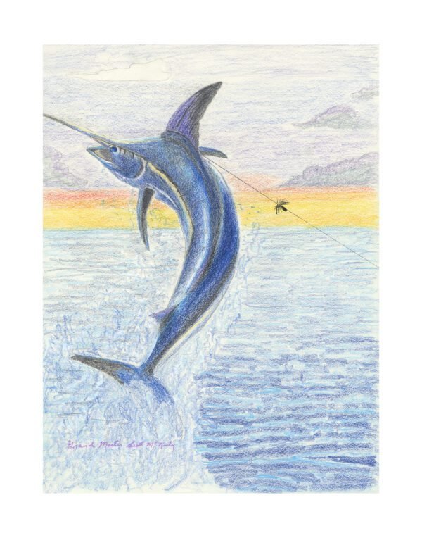 Blue Marlin