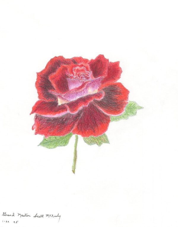 Super Rose