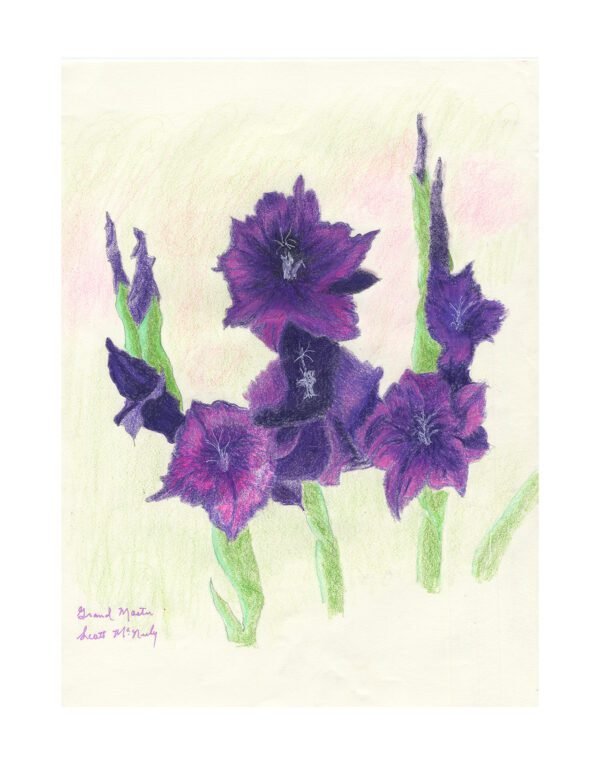 Purple Beauties