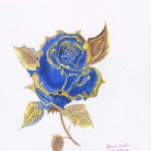 Royal Rose