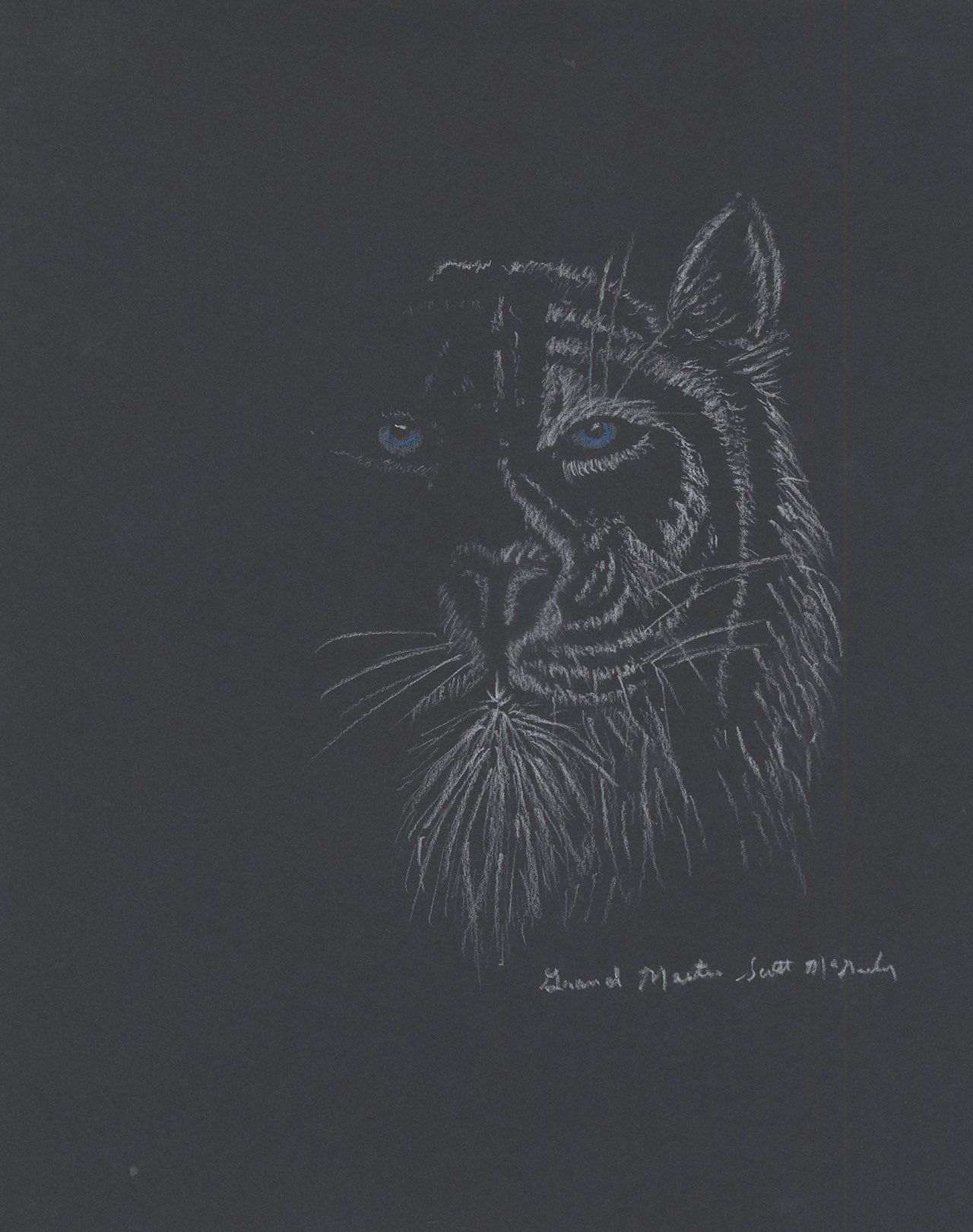 GMM_W_BTiger2.0_1280