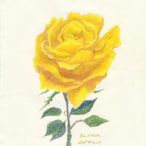Yellow Rose of Texas