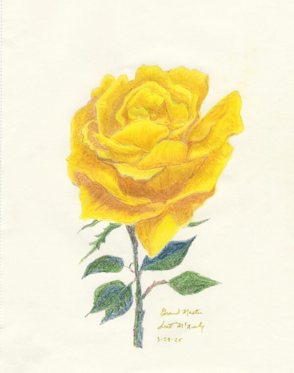 Yellow Rose of Texas